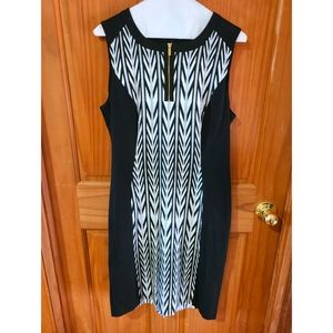NWT Calvin Klein Dress 12